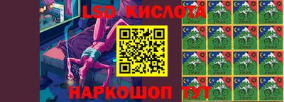 шишки Берёзовский