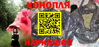 шишки Абакан